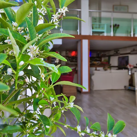 Sonne - Adults Only 3*