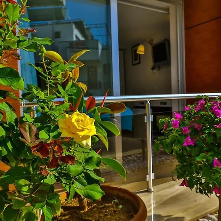 Sonne - Adults Only 3*