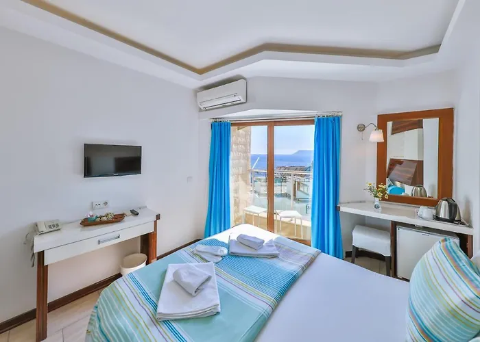 손네 - 성인 전용