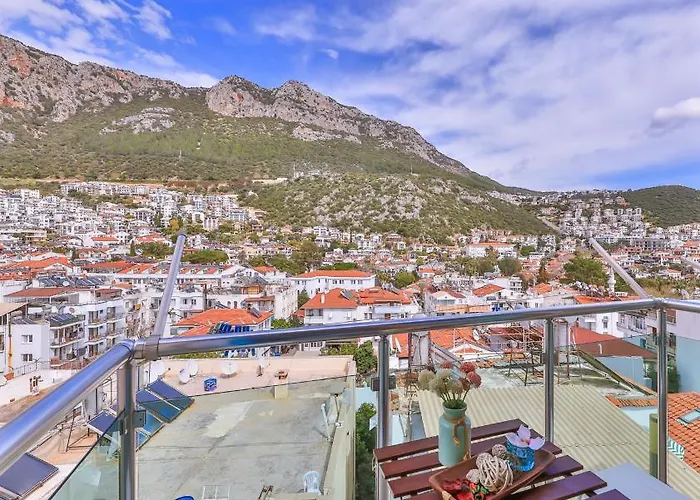 손네 - 성인 전용 3*