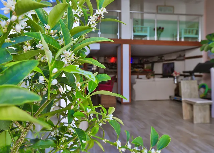 Hotel Sonne - Adults Only 3*