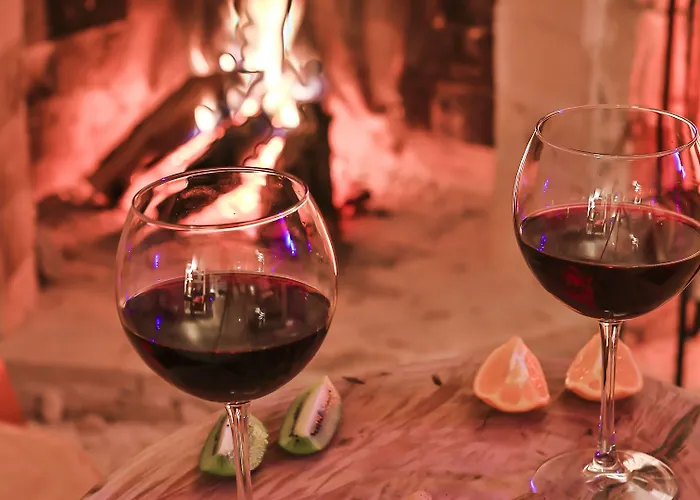 손네 - 성인 전용