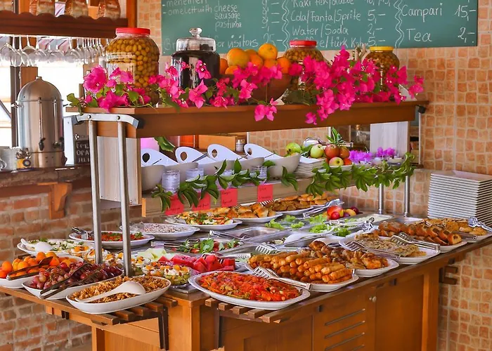 손네 - 성인 전용