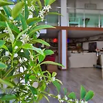 Hotel Sonne - Adults Only 3*